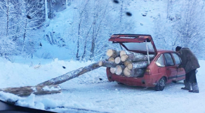 U međuvremenu u BiH: U pasata natovario 11 balvana (Foto) U međuvremenu u BiH: U pasata natovario 11 balvana (Foto)