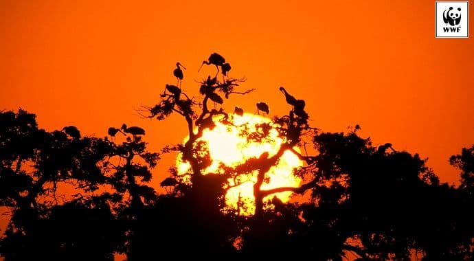 Rekordne temperature u minuloj godini signal za hitnu međunarodnu akciju Rekordne temperature u minuloj godini signal za hitnu međunarodnu akciju