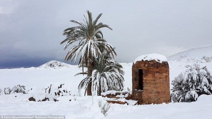 Saharu prekrio snijeg – u Ain Sefri napadao gotovo metar snijega! Saharu prekrio snijeg – u Ain Sefri napadao gotovo metar snijega!