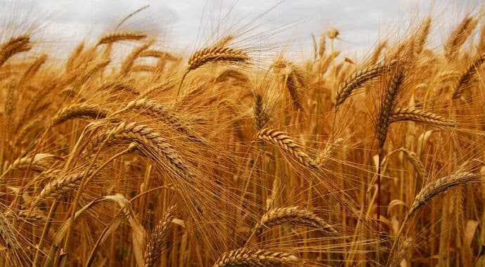 Prezentacija bespovratne podrške preradi u ponedjeljak u Podgorici Prezentacija bespovratne podrške preradi u ponedjeljak u Podgorici