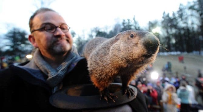 Danas je Dan mrmota! Danas je Dan mrmota!