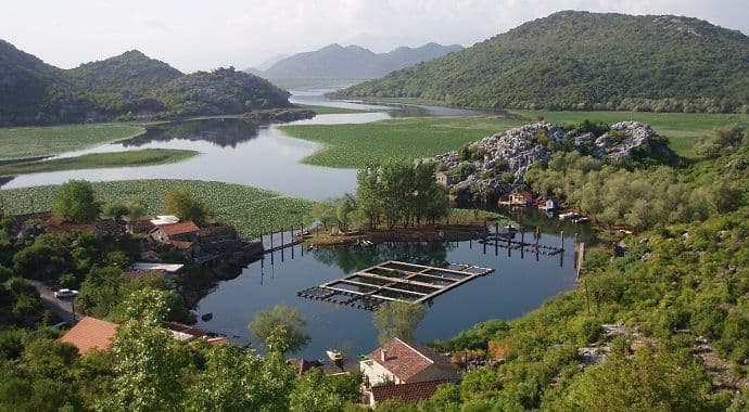 WWF i Green Home: Očuvanjem močvarnih staništa svima osiguravamo bolji život WWF i Green Home: Očuvanjem močvarnih staništa svima osiguravamo bolji život