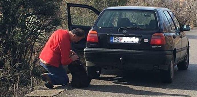 Nesavjesni vlasnik ostavio psa na ulici u Pričelju Nesavjesni vlasnik ostavio psa na ulici u Pričelju