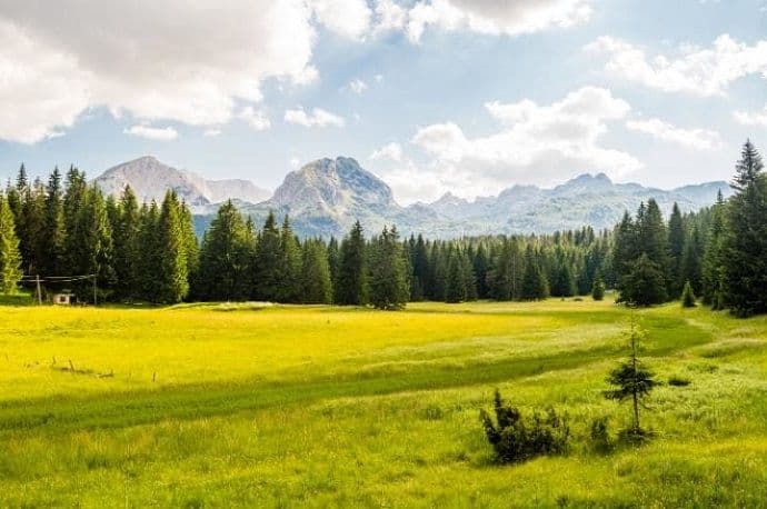 Britanski Telegraf: Morate posjetiti Durmitor i Biogradsku goru Britanski Telegraf: Morate posjetiti Durmitor i Biogradsku goru