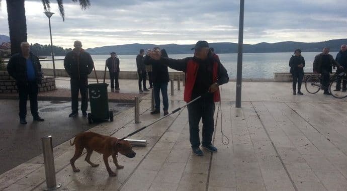 Tivat: Identifikovan vlasnik pit bula Tivat: Identifikovan vlasnik pit bula