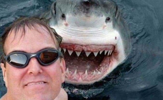 Pogledajte 25 najopasnijih selfija ikada uslikanih (VIDEO) Pogledajte 25 najopasnijih selfija ikada uslikanih (VIDEO)