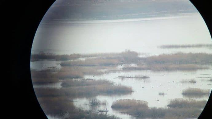 NP Skadarsko jezero: Osujećeni krivolovci NP Skadarsko jezero: Osujećeni krivolovci