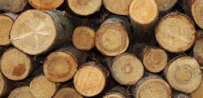 Drvosječa teško povrijeđen prilikom sječe drva Drvosječa teško povrijeđen prilikom sječe drva