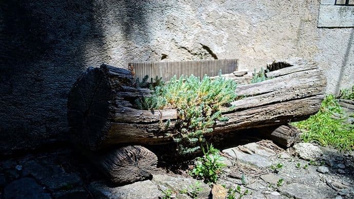 Bilježnica Robija K.: Zašto ih nema? Bilježnica Robija K.: Zašto ih nema?