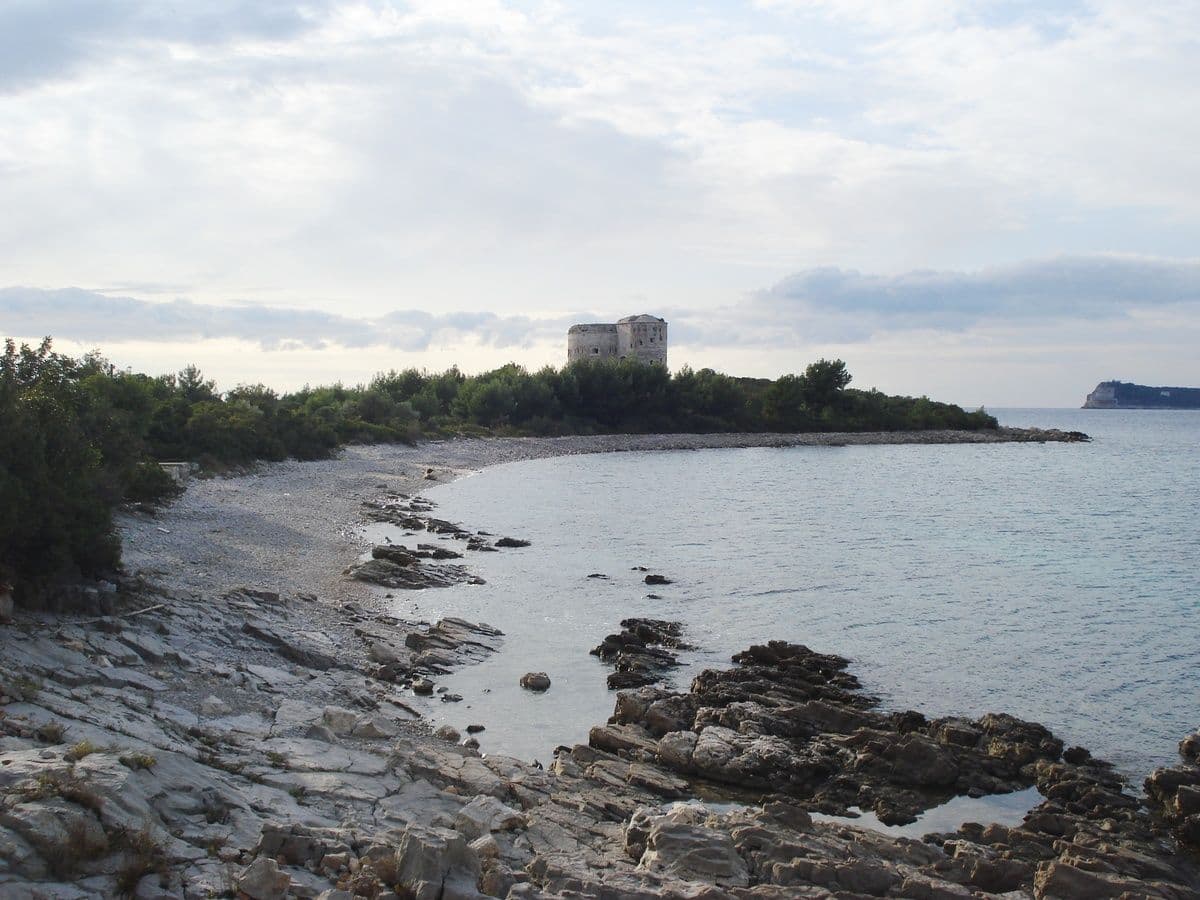 Ponovo produžen rok za dostavljanje ponuda za Arzu Ponovo produžen rok za dostavljanje ponuda za Arzu