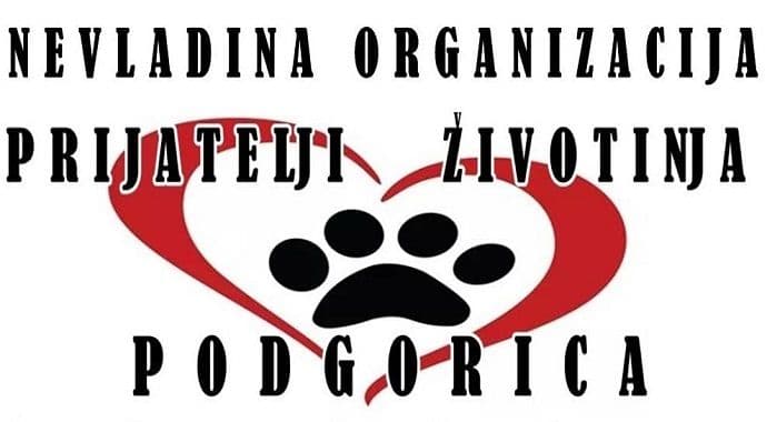 Pas, koji je u Tivtu rastrgao pudlicu i napao dijete, vraćen vlasniku Pas, koji je u Tivtu rastrgao pudlicu i napao dijete, vraćen vlasniku