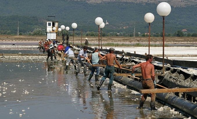 Solana: I četvrta godina bez berbe Solana: I četvrta godina bez berbe