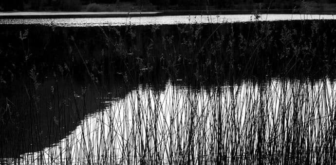 Fotografije Dejana Kalezića u Mariboru Fotografije Dejana Kalezića u Mariboru