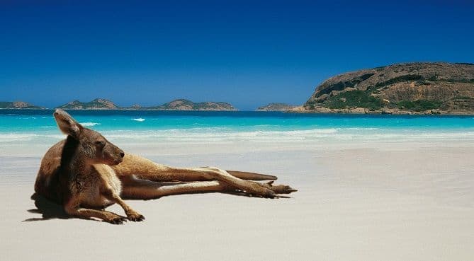 Vrelo ljeto u Australiji: Toplotni rekord oboren 205 puta Vrelo ljeto u Australiji: Toplotni rekord oboren 205 puta