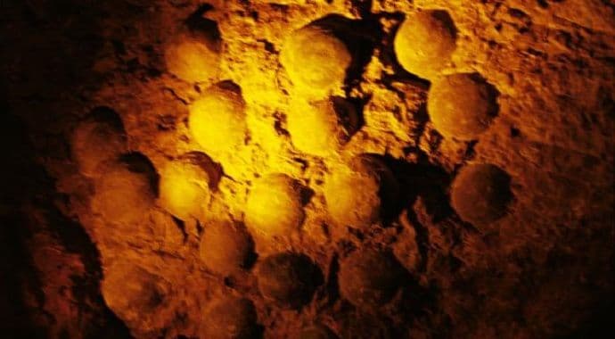 U gnijezdima dinosaurusa pronađena najstarija jaja krokodila U gnijezdima dinosaurusa pronađena najstarija jaja krokodila