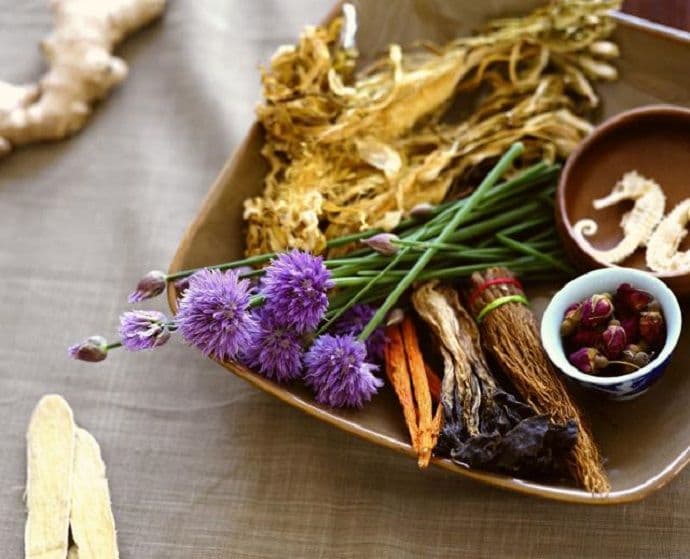 Pojedino ljekovito bilje ima i štetno dejstvo Pojedino ljekovito bilje ima i štetno dejstvo