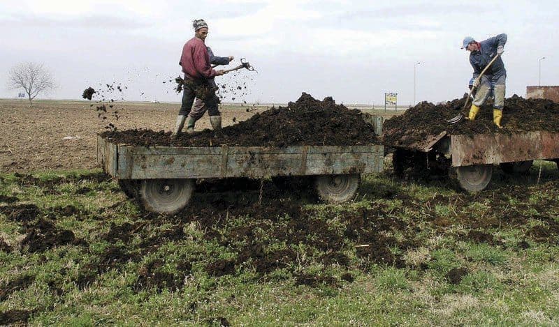 Javni poziv za dodjelu podrške za upravljanje stajskim đubrivom Javni poziv za dodjelu podrške za upravljanje stajskim đubrivom