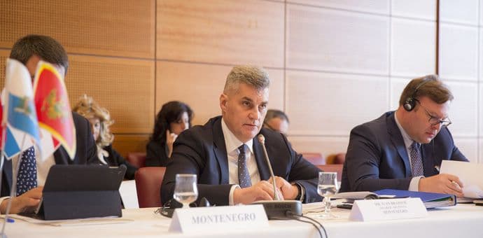 Brajović: Crna Gora je svojevrsni mikromodel EU Brajović: Crna Gora je svojevrsni mikromodel EU