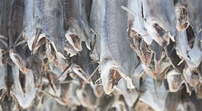 Norveška: Djeca za dan zarade do 480 eura Norveška: Djeca za dan zarade do 480 eura