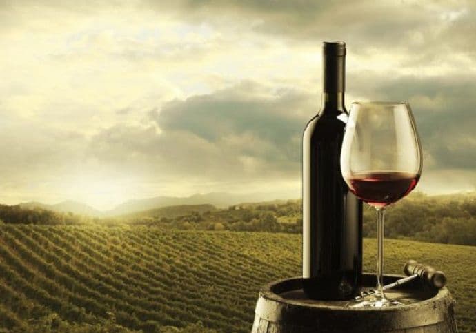 Trampova vinarija traži više stranih sezonaca Trampova vinarija traži više stranih sezonaca