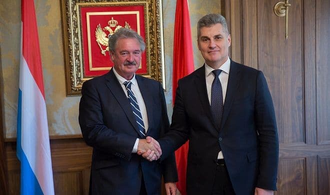 Brajović - Aselborn: Veoma je značajna razvojna pomoć Brajović - Aselborn: Veoma je značajna razvojna pomoć