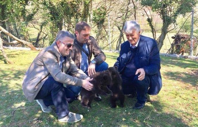 Mladunčad mrkog medvjeda dobrog zdravstvenog stanja Mladunčad mrkog medvjeda dobrog zdravstvenog stanja