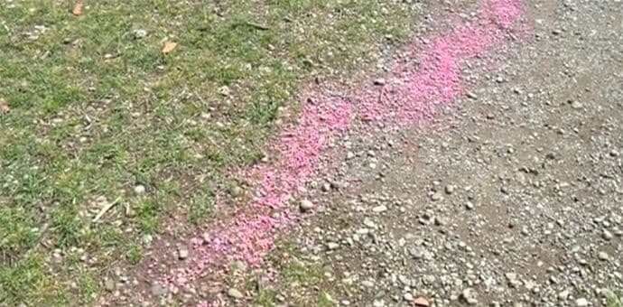 Mišomor ponovo prosut na dječije igralište Mišomor ponovo prosut na dječije igralište