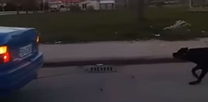 Nikšić: Vezao psa za auto i vozio se kroz grad (VIDEO) Nikšić: Vezao psa za auto i vozio se kroz grad (VIDEO)