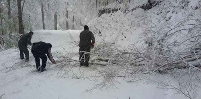 Zatvoren NP Biogradska gora Zatvoren NP Biogradska gora