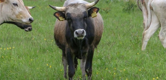 KONAČNO: Počelo formiranje banke gena ugroženih vrsta životinja i biljaka KONAČNO: Počelo formiranje banke gena ugroženih vrsta životinja i biljaka