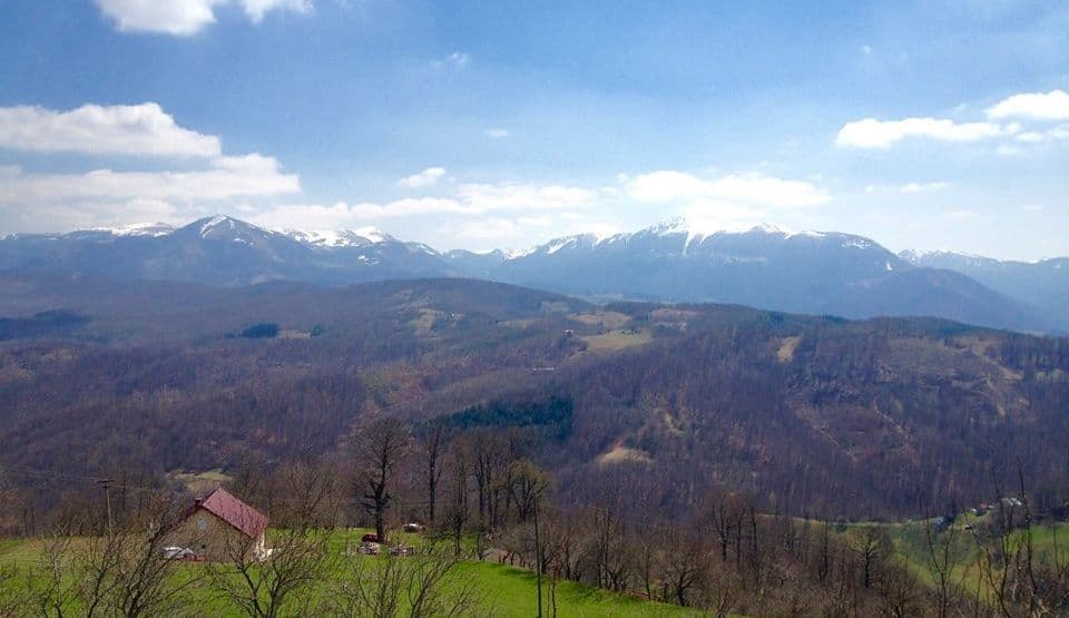 Spašen čovjek koji je upao u korito rijeke Spašen čovjek koji je upao u korito rijeke