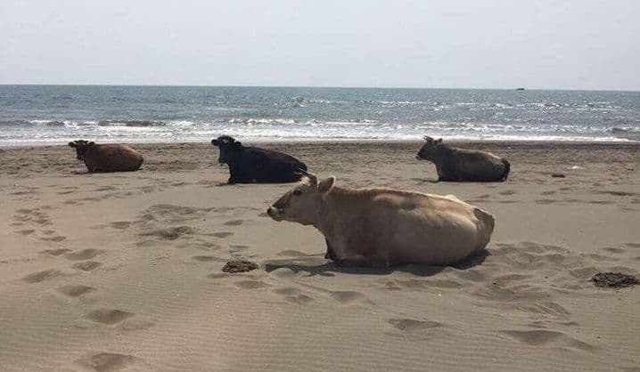 Apsolutno romantično Apsolutno romantično