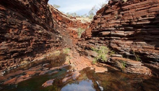 Darvin je bio u pravu: Otkriveni najstariji tragovi života Darvin je bio u pravu: Otkriveni najstariji tragovi života