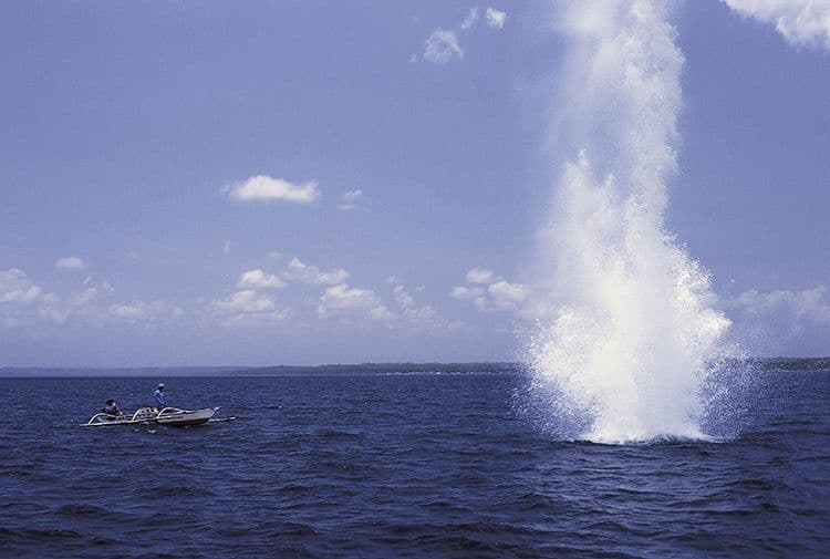 Policija otkrila dva lica sa opremom za nezakonit izlov ribe Policija otkrila dva lica sa opremom za nezakonit izlov ribe