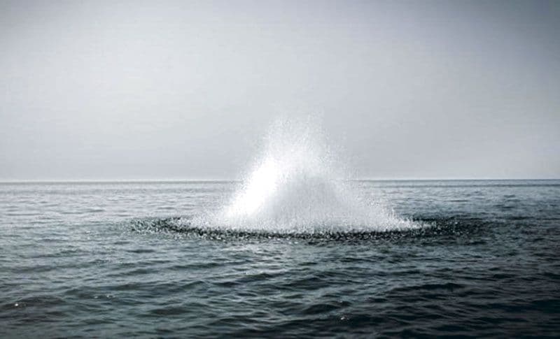 Vjerovali ili ne: Zatečen u krivolovu, sud ga oslobodio i dodijelio mu 7.140 eura Vjerovali ili ne: Zatečen u krivolovu, sud ga oslobodio i dodijelio mu 7.140 eura