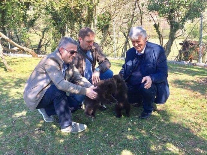 Miličković: Neko mora da preuzme odgovornost za mečiće Miličković: Neko mora da preuzme odgovornost za mečiće