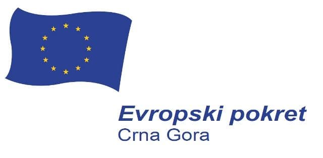 Evropski pokret: Sprovesti sve mjere, da se ništa slično ne desi u budućnosti Evropski pokret: Sprovesti sve mjere, da se ništa slično ne desi u budućnosti