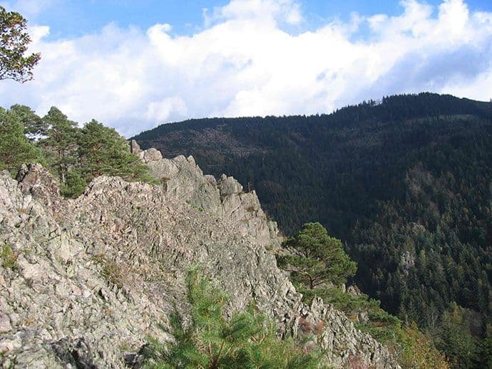 Nacionalni parkovi Crne Gore organizuju povratnu posjetu NP Švarcvald Nacionalni parkovi Crne Gore organizuju povratnu posjetu NP Švarcvald