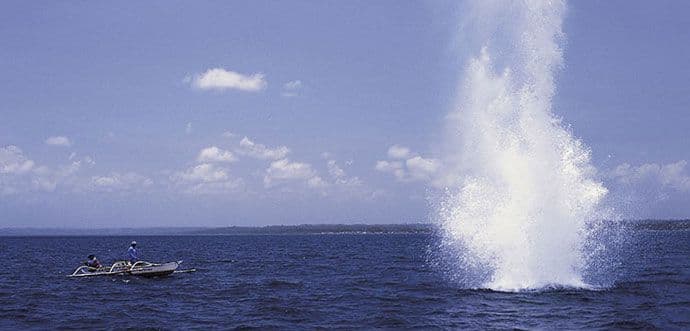 Zaustavimo pustošenje mora dok još nije kasno Zaustavimo pustošenje mora dok još nije kasno