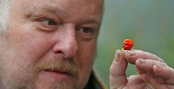 "Zmajev dah": Papričica koja može da ubije "Zmajev dah": Papričica koja može da ubije