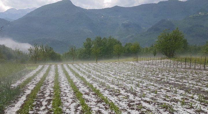 Manastir Morača: Padao grad veličine oraha (VIDEO) Manastir Morača: Padao grad veličine oraha (VIDEO)