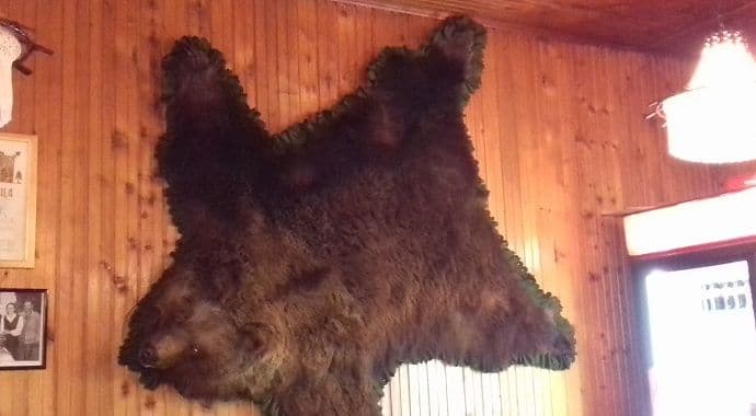 Mreža NVO Sjevera: Spriječite javašluk u lovištu Opštine Bijelo Polje Mreža NVO Sjevera: Spriječite javašluk u lovištu Opštine Bijelo Polje