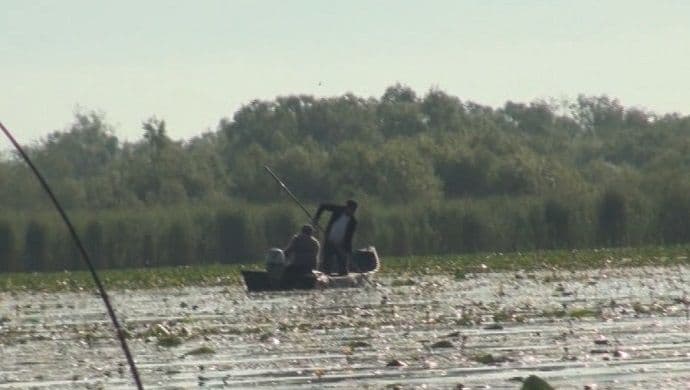 Na Skadarskom jezeru krivolova više nego ikada Na Skadarskom jezeru krivolova više nego ikada