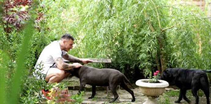 Ljubav prema psima spojila filmsku zvijezdu, MMA šampiona i dječiji hor Ljubav prema psima spojila filmsku zvijezdu, MMA šampiona i dječiji hor