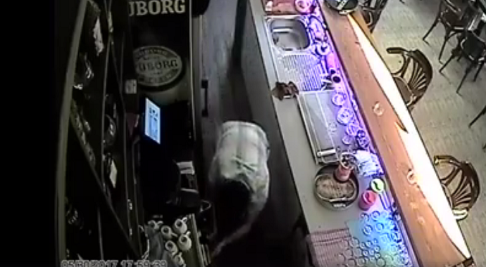 Podgorica: Došao da popije kafu - lokal ostao bez pazara (Video) Podgorica: Došao da popije kafu - lokal ostao bez pazara (Video)