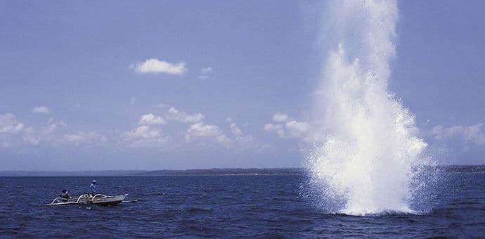 Priveden Savić zbog pokušaja izlovljavanja ribe dinamitom Priveden Savić zbog pokušaja izlovljavanja ribe dinamitom