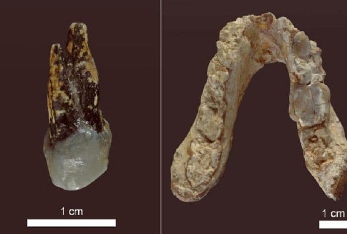 Preci ljudi ne potiču iz Afrike, već iz Bugarske i Grčke? Preci ljudi ne potiču iz Afrike, već iz Bugarske i Grčke?