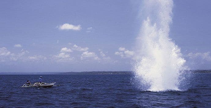 Niko ne zna koliko je dinamita u podrumima Niko ne zna koliko je dinamita u podrumima