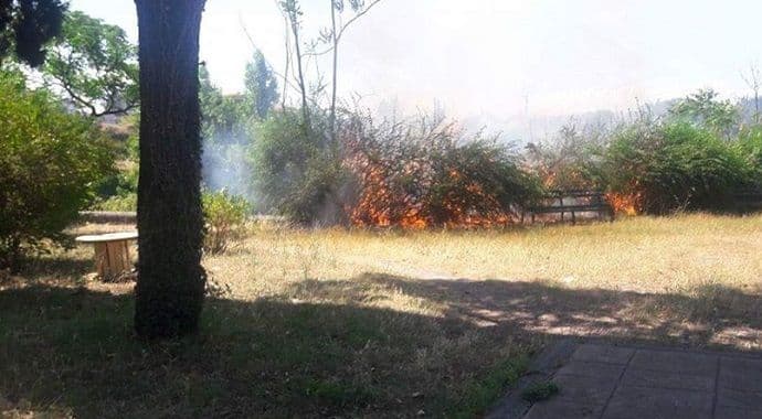 Podgorica: Požar kod Blažovog mosta (Foto) Podgorica: Požar kod Blažovog mosta (Foto)