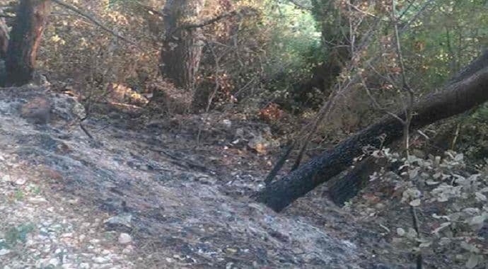 Požari i u Kotoru Požari i u Kotoru